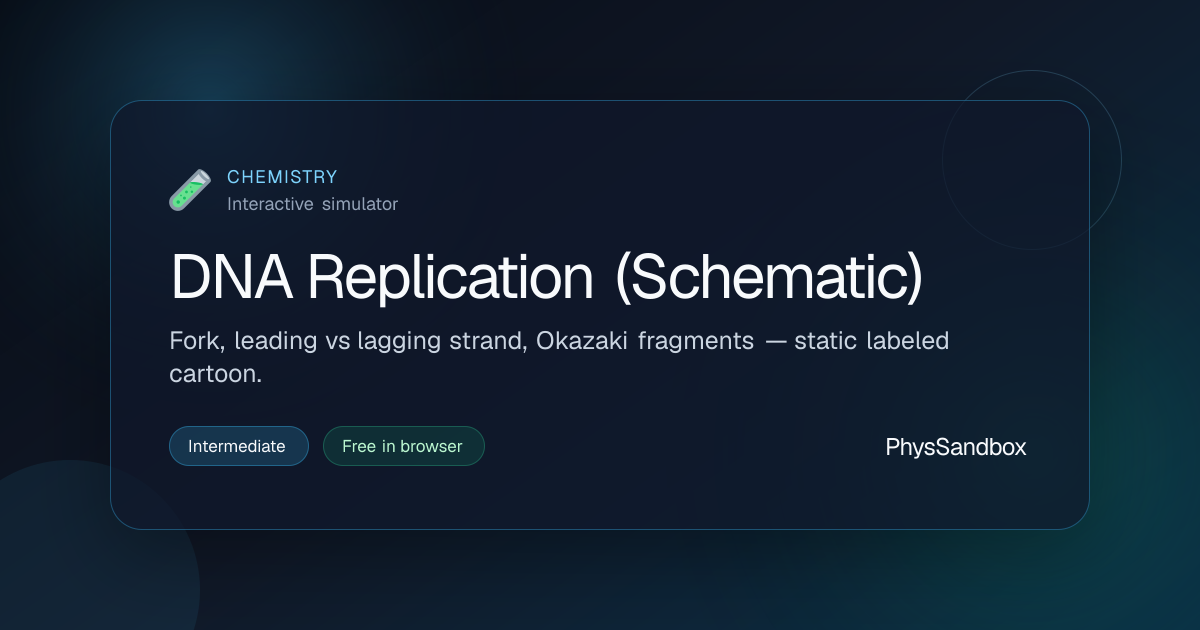 DNA Replication (Schematic) — Simulator | PhysSandbox
